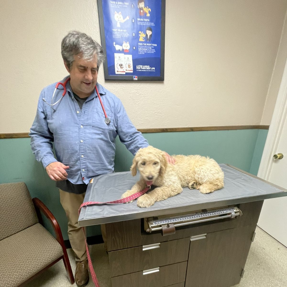 two veterinarian holding a puppy