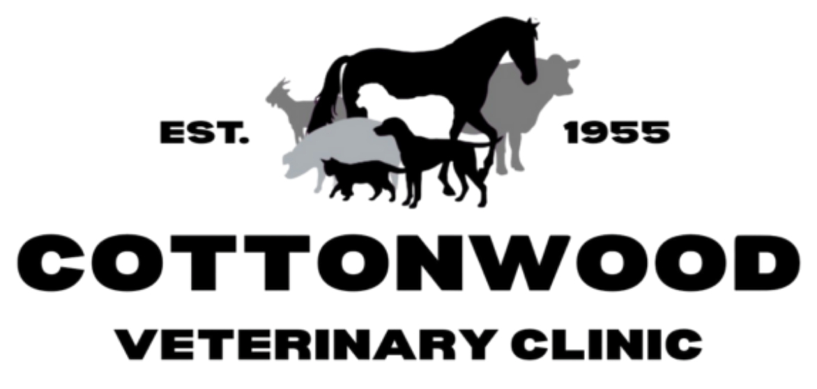 Cottonwood Veterinary Clinic
